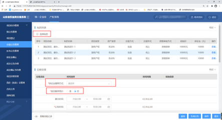 山东省公共资源交易中心资产处置交易系统（文物拍卖）用户操作手册（代理机构/出让人版）